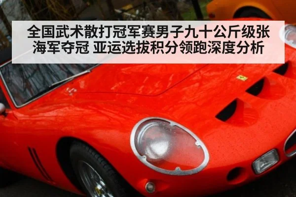全国武术散打冠军赛男子九十公斤级张海军夺冠 亚运选拔积分领跑深度分析